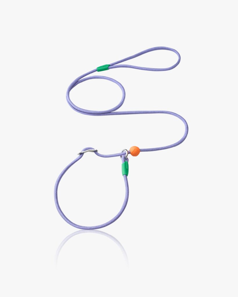 Candy P-Rope Leash