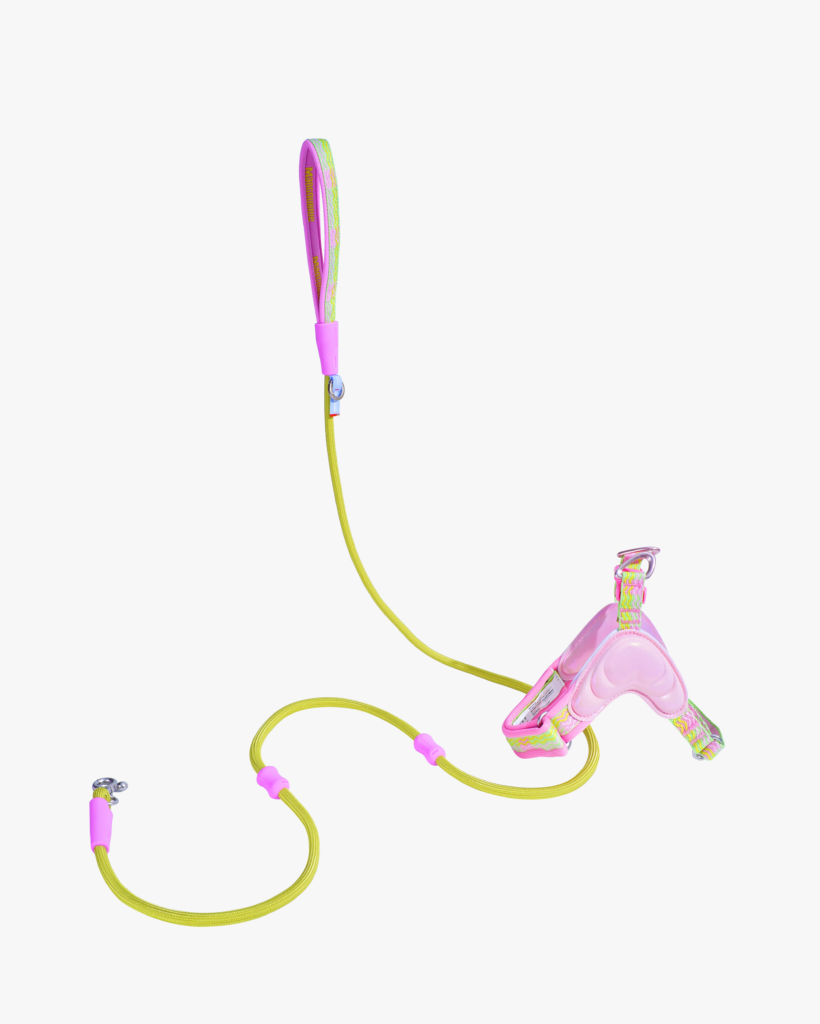 Island Harness 2-Piece Walk Set