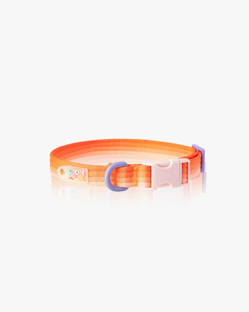 Marshmallow Collar - Sunset Orange