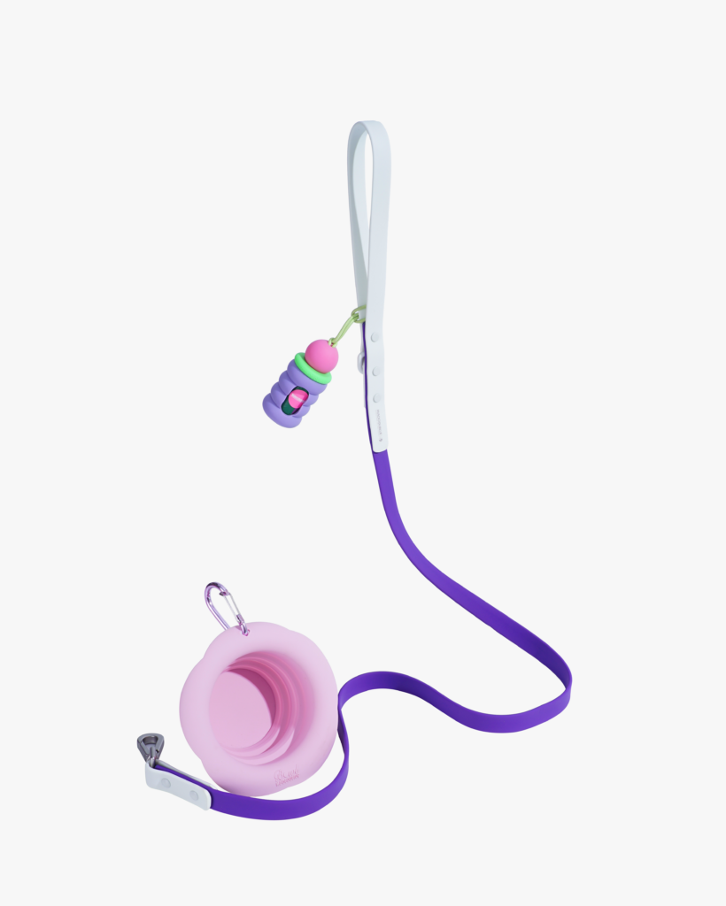 Waterproof Leash Grab & Go Trio — 350ml Bowl & Cake Waste Bag Holder